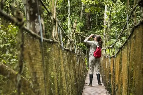 amazon jungle peru