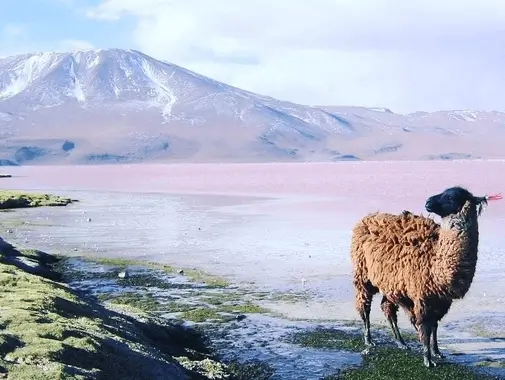 uyuni-ladscape